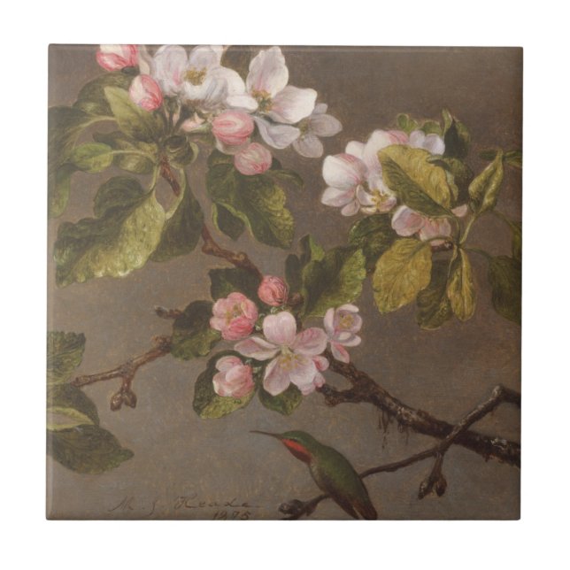 Kolibri und Apple-Blüten Fliese (Vorderseite)