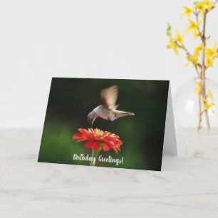 Kolibri- und Blumen-Natur-Geburtstagskarte Karte