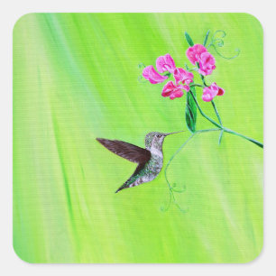 Kolibri und Duftende Platterbsen Malerei Quadratischer Aufkleber