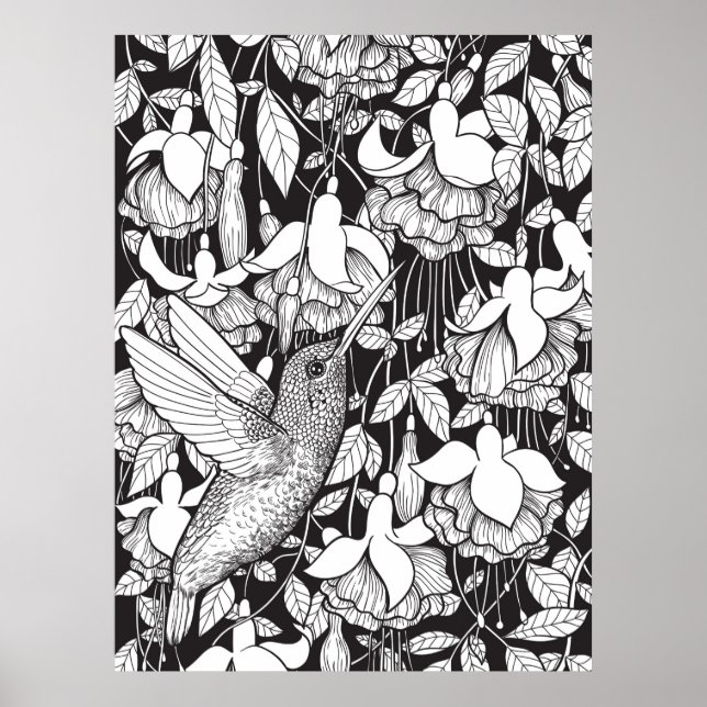 Kolibri und Fuchsie Poster (Vorne)
