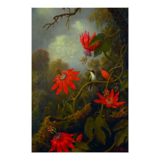Kolibri und Passionsblumen (1875) Poster