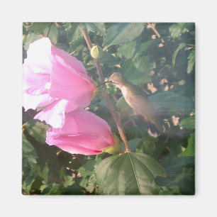 Kolibri und Rose von Sharon-Magneten Magnet