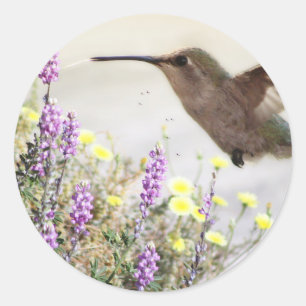 Kolibri und Wildblumen Digitale Kunst Runder Aufkleber