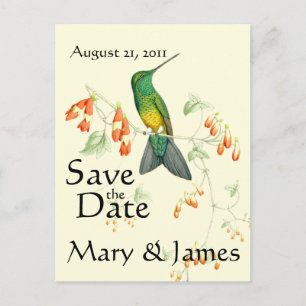 Kolibri Vogel Blume Floral Save the Date Ankündigungspostkarte