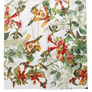 Kolibri-Vogel-Blumen Audubon Duschvorhang