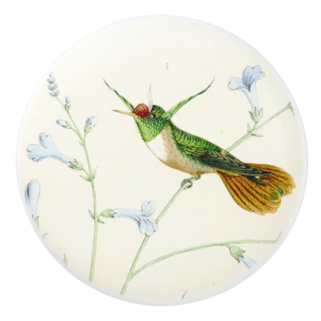 Kolibri-Vogel-Blumen-Blumengarten-Griff Keramikknauf (Vorderseite)