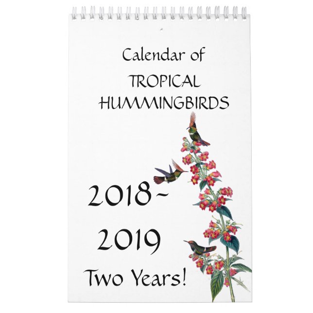 Kolibri-Vogel-Blumen-Blumenkalender 2018 2019 Kalender (Titelbild)