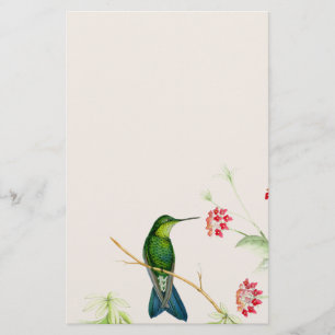 Kolibri-Vogel-Blumen-Blumentier-Tiere Briefpapier