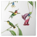 Kolibri-Vogel-Blumen-Blumentier-wild lebende Tiere Fliese