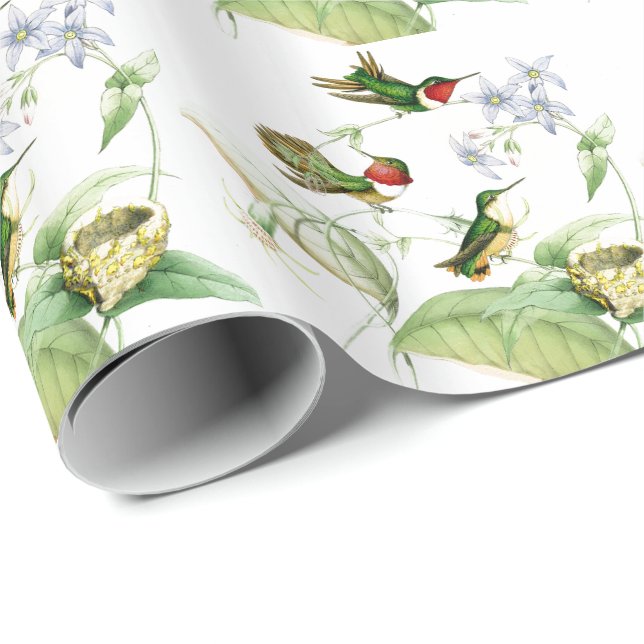 Kolibri-Vogel-Blumen-Blumenverpackungs-Papier Geschenkpapier (Rolleneckpunkt)