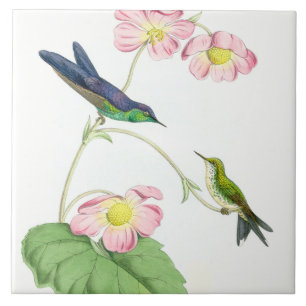 Kolibri Vögel Blumen Floral Wildtiere Tiere Fliese