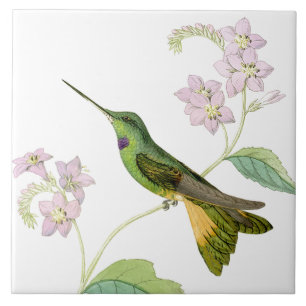 Kolibri Vögel Blumen Floral Wildtiere Tiere Fliese
