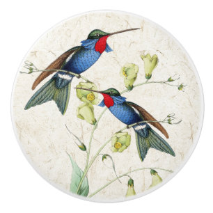 Kolibri-Vogel-Blumen-TierKeramik-Zug-Griff Keramikknauf