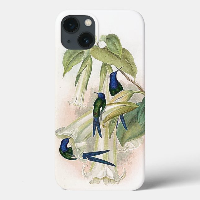 Kolibri-Vögel iPhone 6 Hülle (Rückseite)