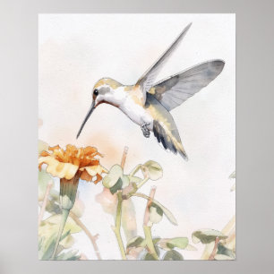 Kolibri Vogel Kunst Poster