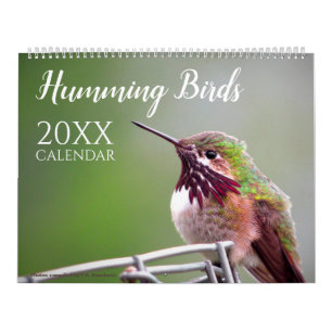 Kolibri Vogel Natur Wildlife Wand Kalender