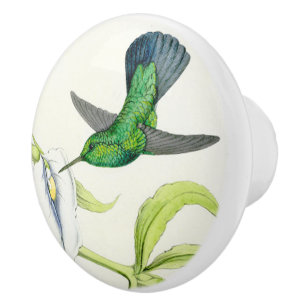 Kolibri-Vogel-Orchideen-Blumen-Blumengarten-Griff Keramikknauf