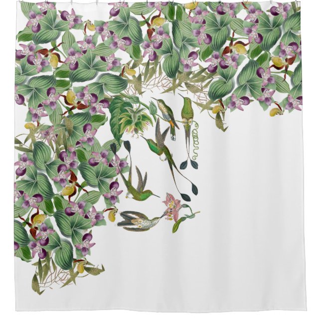 Kolibri-Vogel-Orchideen-Blumen-Duschvorhang Duschvorhang (Vorderseite)