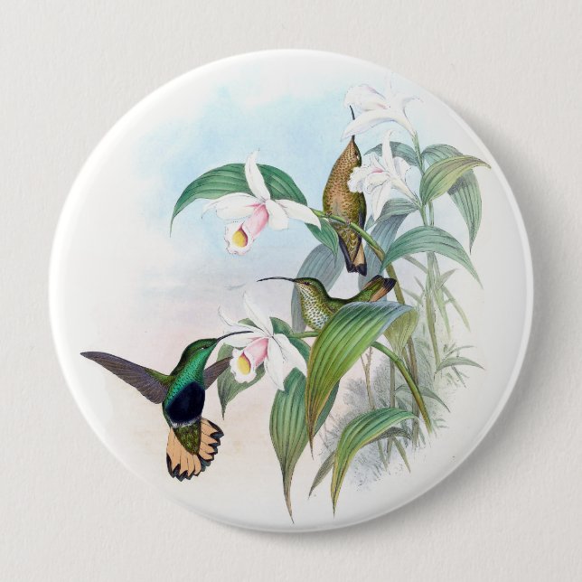 Kolibri-Vogel-Orchideen-Blumen-Tier-Knopf Button (Vorderseite)