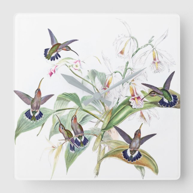 Kolibri-Vogel-Orchideen-Blumen-Wand-Uhr Quadratische Wanduhr (Vorderseite)