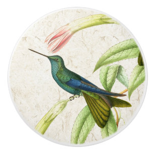 Kolibri-Vogel-Rosa-Blumen-Tierzug/Griff Keramikknauf