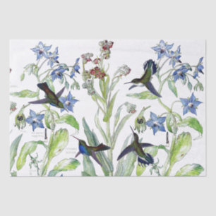 Kolibri-Vögel Starflower Blumen-Seidenpapier Seidenpapier
