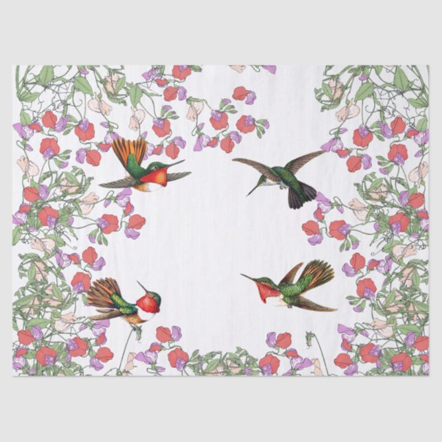 Kolibri-Vogel-süße Erbsen-Blumen-Seidenpapier Seidenpapier (Vorderseite)