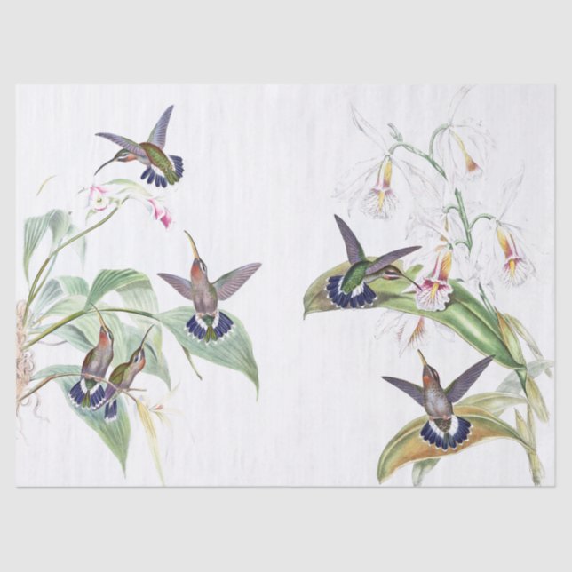 Kolibri-Vogel-Tier-Blumen-Seidenpapier Seidenpapier (Vorderseite)
