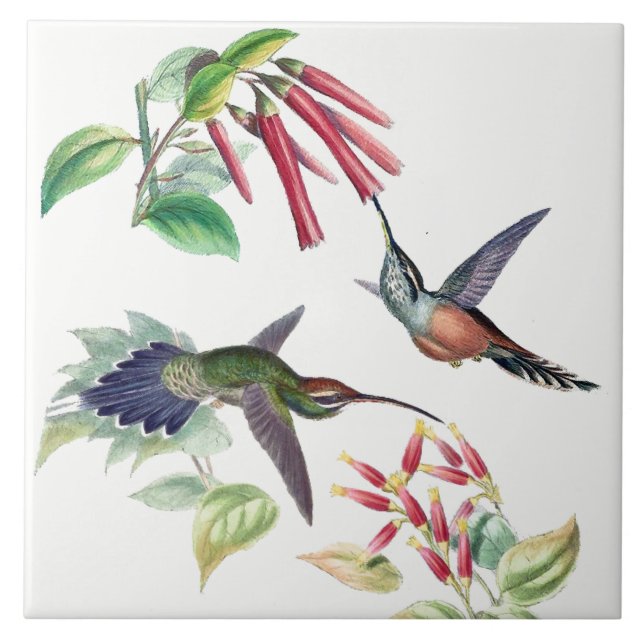 Kolibri-Vogel-Tier-Tier-Blumen-Fliese Fliese (Vorderseite)