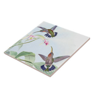 Kolibri-Vogel-Tier-Tier-Blumen-Fliese Fliese