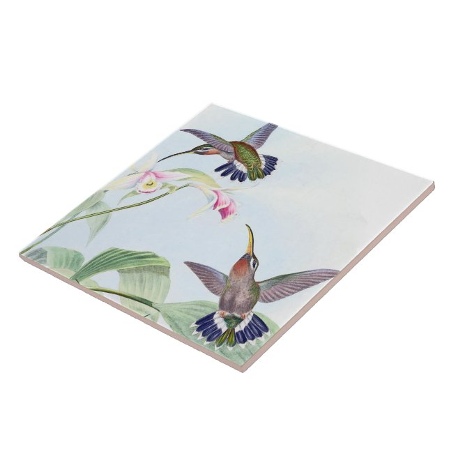 Kolibri-Vogel-Tier-Tier-Blumen-Fliese Fliese (Seite)