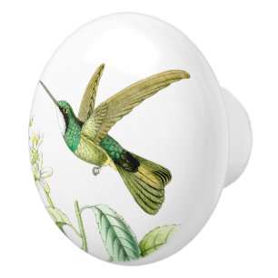 Kolibri-Vogel-Tier-Tier-Blüten-Griff Keramikknauf