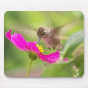 Kolibri-Vogel-Tier-Tier mit Blumen Mousepad