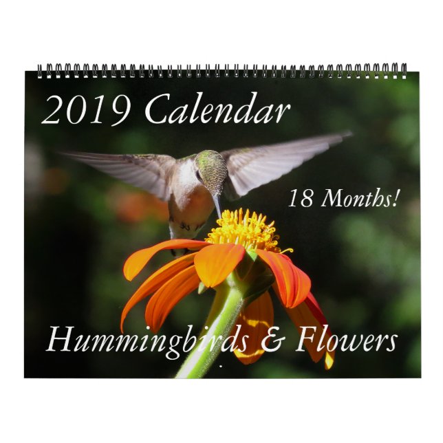 Kolibri-Vogel-u. Blumen-Blumenkalender 2019 Kalender (Titelbild)