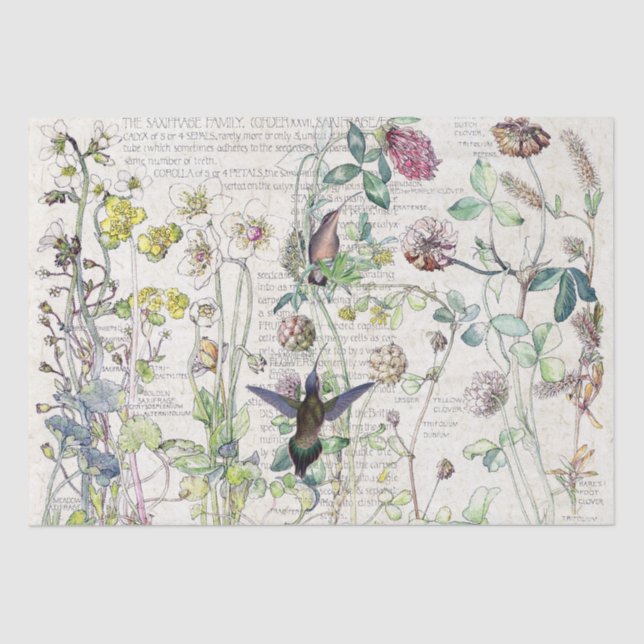 Kolibri-Vogel-Wildblume-Blumen-Seidenpapier Seidenpapier (Vorderseite)