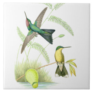 Kolibri Vögel Wildtiere Blumen Floral Tiere Fliese