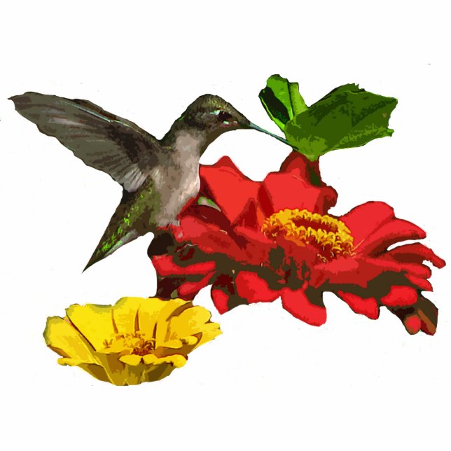 Kolibri-Weihnachtshängendes Acryl Fotoskulptur Ornament (Vorne)