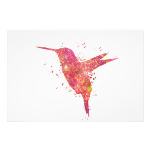 Kolibri Wildvögel Natur Welt V Fotodruck