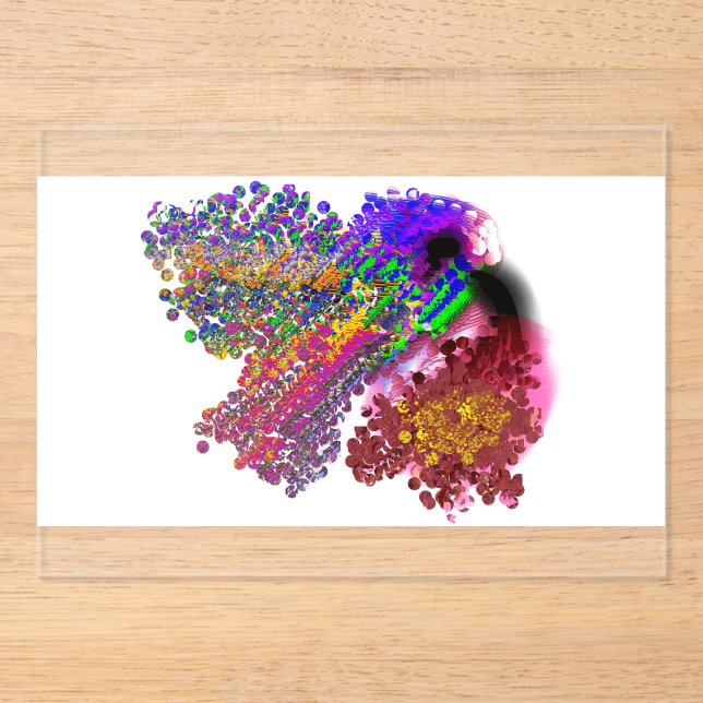 Kolibriliebe Acryleinladungen (Vorderseite)