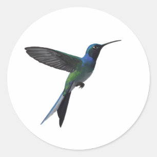 Kolibriliebhaber Runder Aufkleber