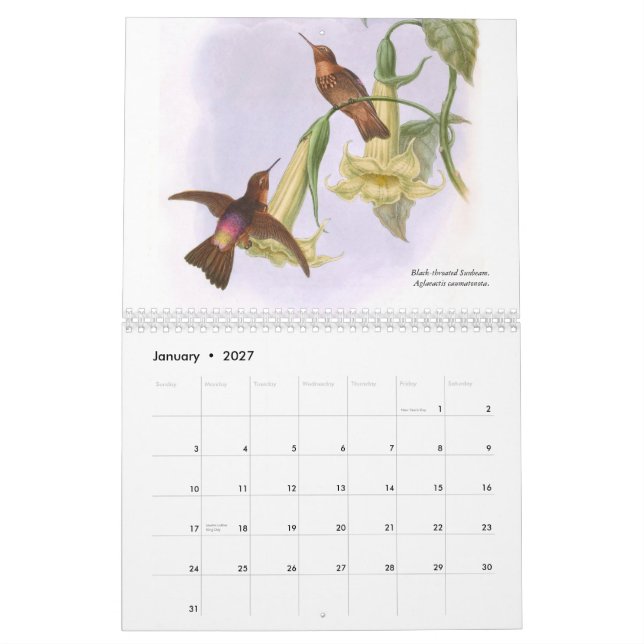 Kolibris 2015 Johns Goulds Kalender (Jan 2027)