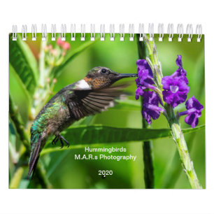 Kolibris 2020 kalender