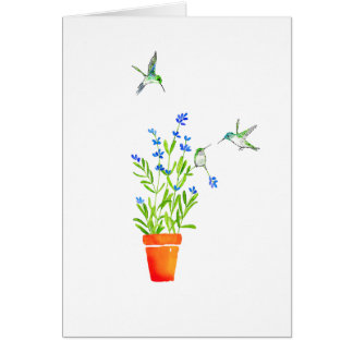 Kolibris auf Lavendel