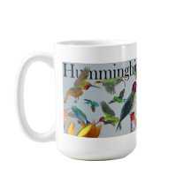 Kolibris des Amerikas