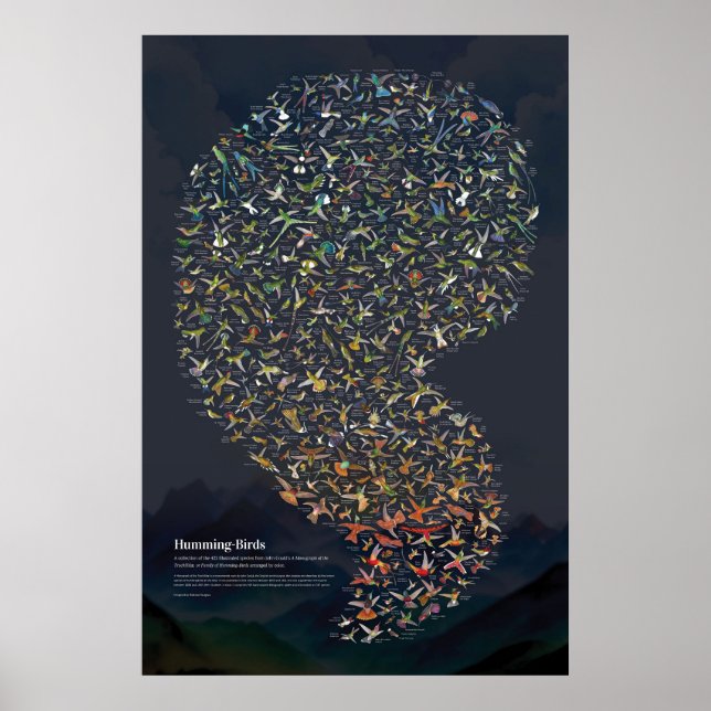 Kolibris - Dunkel Poster (Vorne)