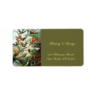 Kolibris durch Ernst Haeckel Adressaufkleber