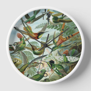 Kolibris - Ernst Haeckel Uhr