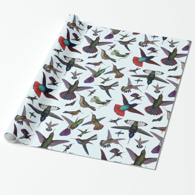 Kolibris Geschenkpapier (Ungerollt)