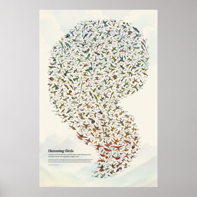 Kolibris - Hell Poster (Vorne)