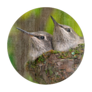 Kolibris im Babyalter Schneidebrett